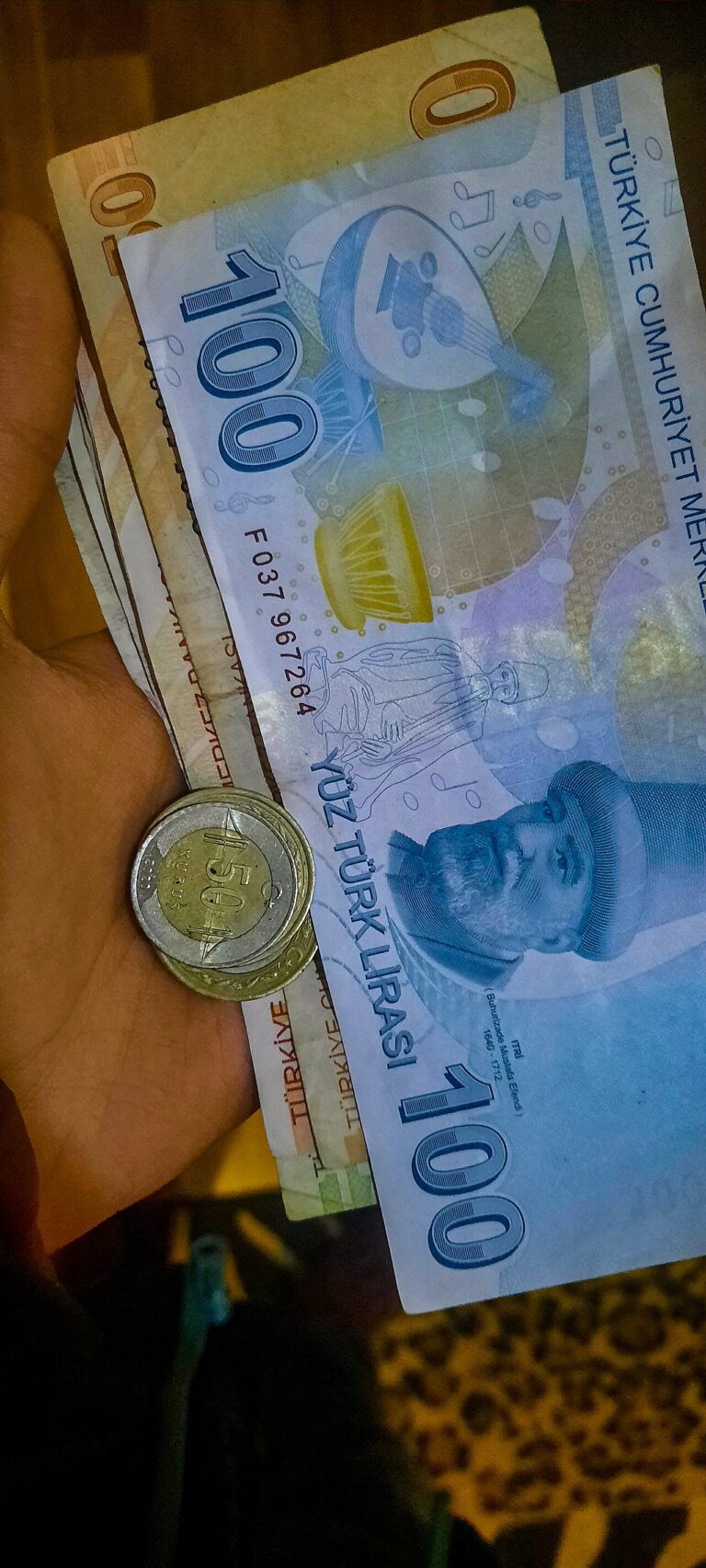 Türk lirası banknotu ve madeni para (arşiv/temsili fotoğraf)