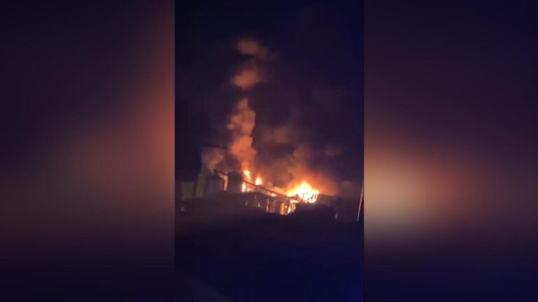 Bandırma’da yağ fabrikasında yangın